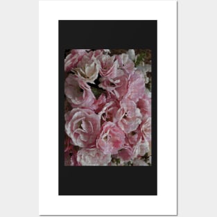 Cross-Stitch Pattern [Rose Roses] Posters and Art